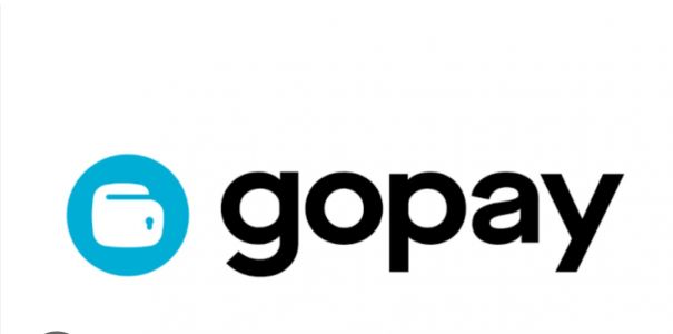 GOPAY 25k