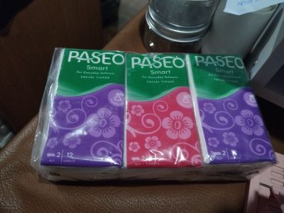 Paseo hanky kecil isi 6