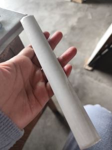 Kuku macan polos putih