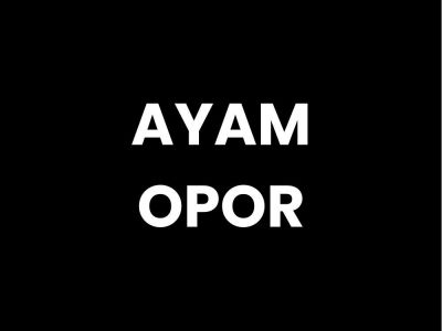 AYAM OPOR
