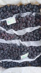 Anggur Autumn 1kg