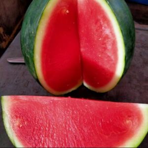 Semangka merah tanpa biji per kg