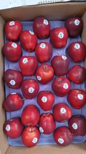 Apel USA Red Sz 125 per kg