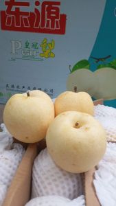 Pear Century Sz 60 per kg 