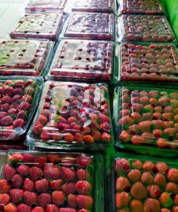 Strawberry Pack Besar
