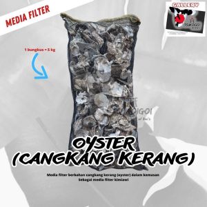 Oyster (Cangkang Kerang)