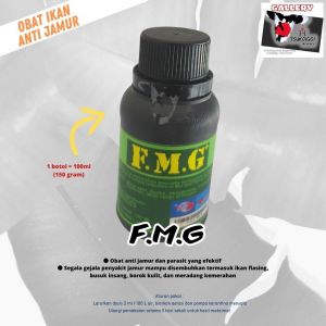 FMG