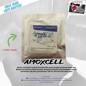 Amoxcell