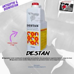 Destan