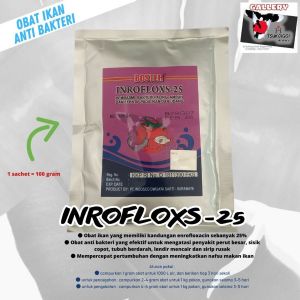 Inroflox-25