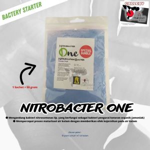 Nitrobachter 