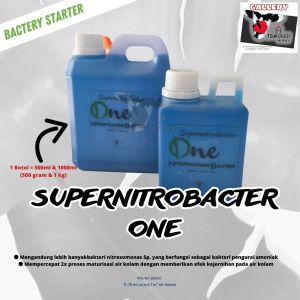 Supernitrobachter Kecil