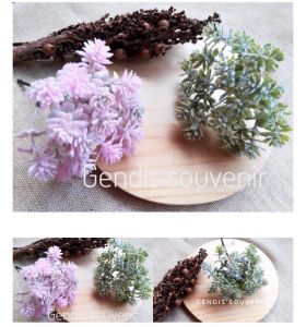 (271-6) kaktus suculent powdered import hiasan rustic 