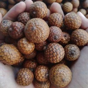 12 pcs biji rotan 