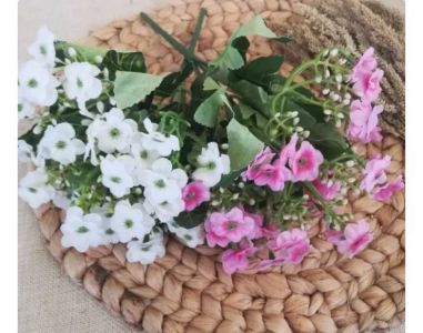 30 kuntum BUNGA FORGET ME NOT BABYSBREATH Edelweis