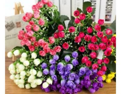 30 kuntum rose milan