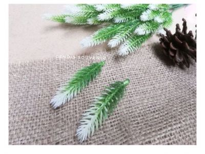 5pcs Varian Cemara Pinus - New Varian