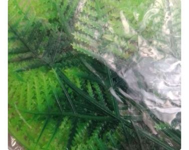 5pcs 25 helai Daun Asparagus pakis artificial