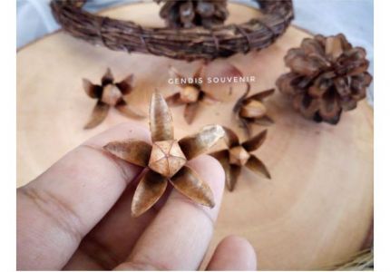 5pcs bunga surya