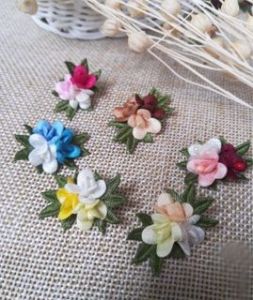 6 pcs Mawar kebun - tipe A