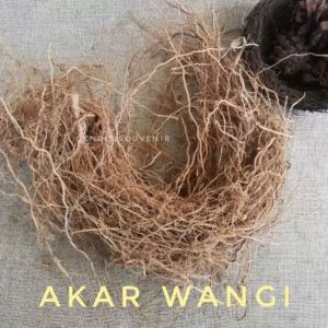 Akar Wangi