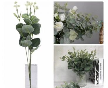 BUKET DAUN DOLAR EUCALYPTUS 4 CABANG 