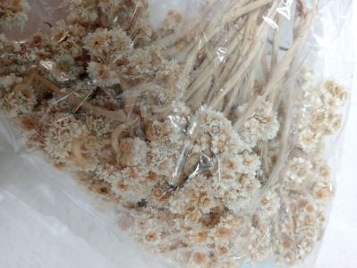Bunga kering rustic natural bahan mahar rustic kerajinan Buket bunga edelweis