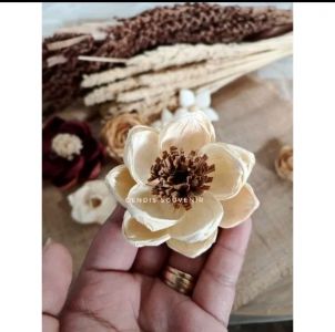 Bunga klobot jagung teratai 6-8 cm
