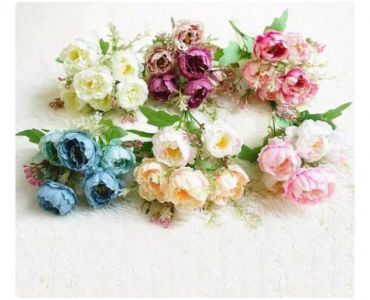 NEW BUNGA GARDENIA PUTIK IMPORT 
