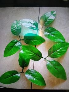 Perbiji Daun Mawar 3cabang bergerigi