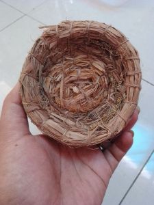 Sarang burung kenari alas tempat cincin lamaran 