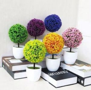 Ornamen tanaman hias bonsai bulat 