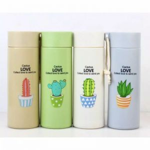 Kaktus botol minum kaca tali
