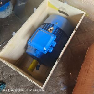 7,5Hp 1450Rpm 3Phase DBS