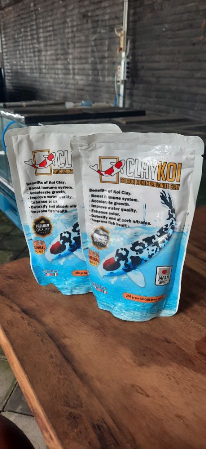 Clay Koi Putih 