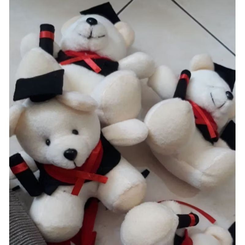 Boneka wisuda mini polos 