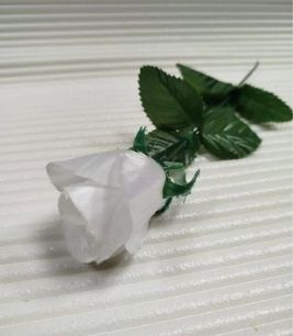 Bunga mawar single rose