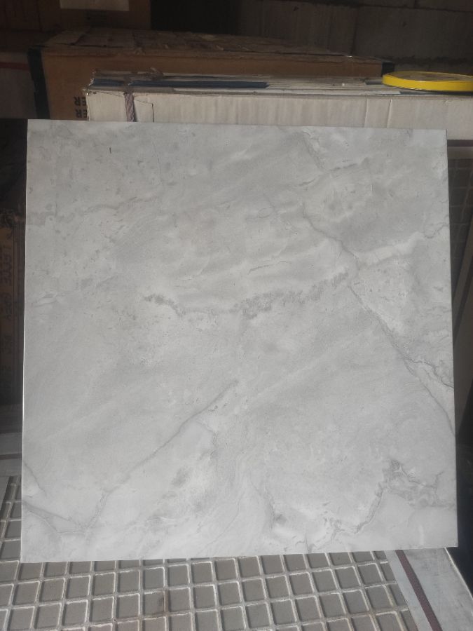 Falcon Grey