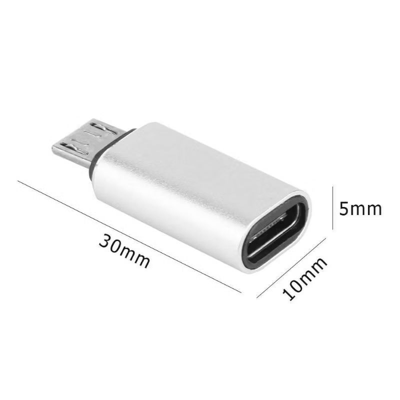 Converter Type C to Micro