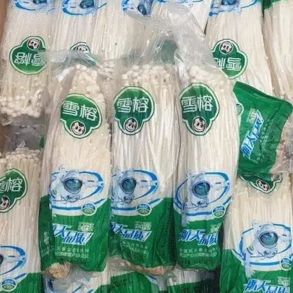 Enoki Jamur 3