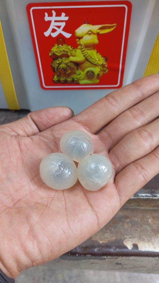 Lengkeng Thailand cap kelinci merah 1kg