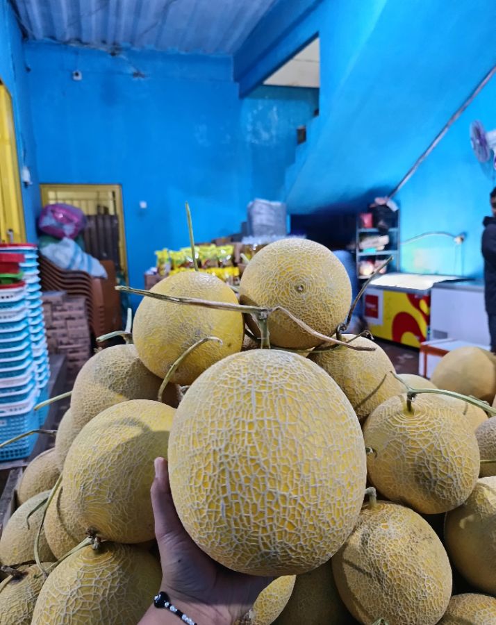 Melon Intanon 1 kg