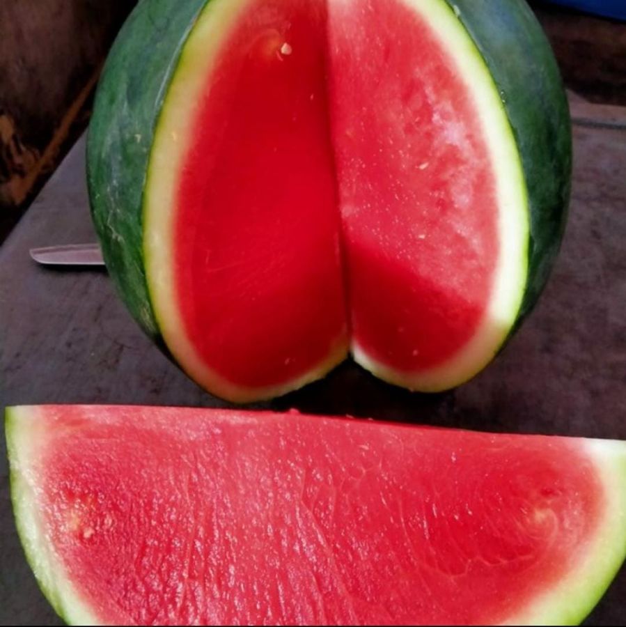 Semangka merah tanpa biji per kg