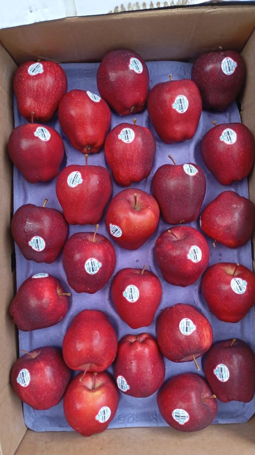 Apel USA Red Sz 125 per kg