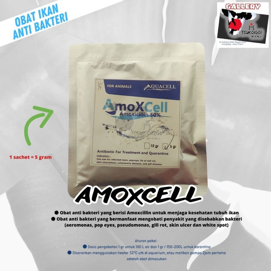 Amoxcell