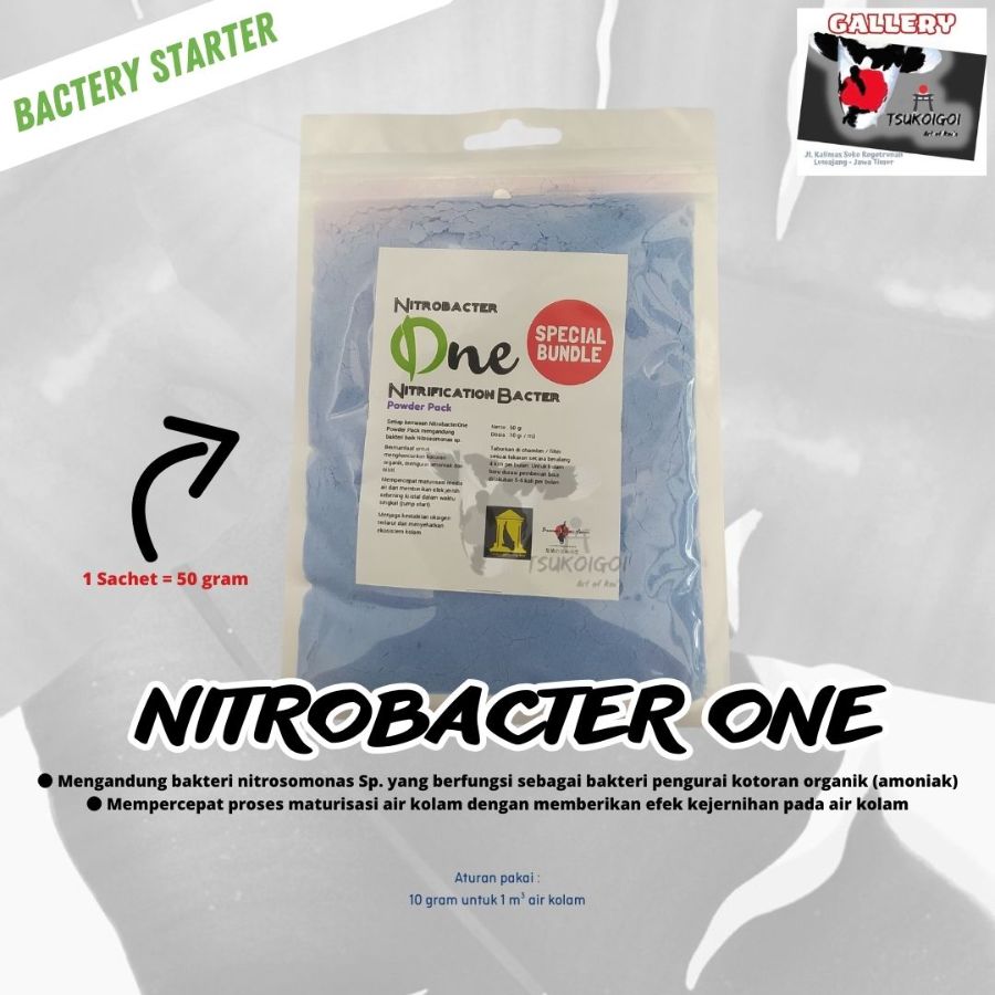 Nitrobachter 