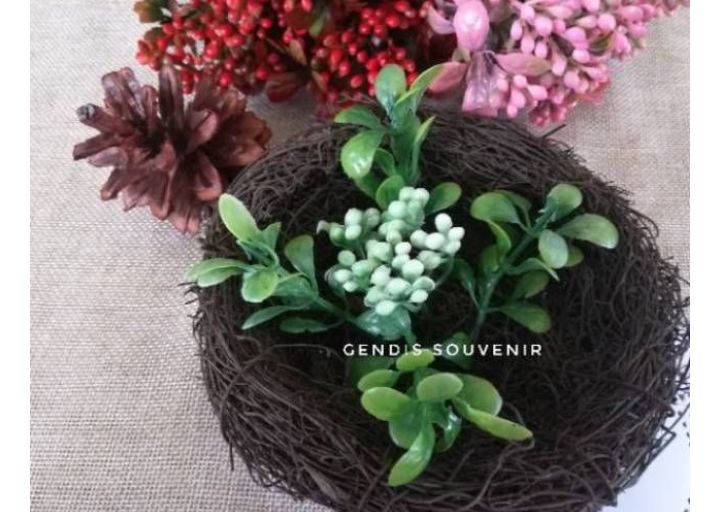 1 set Putik+4pcs Daun eucalyptus 