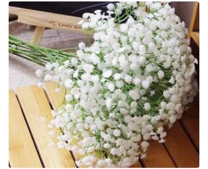 1 tangkai gypshopilla babybreath
