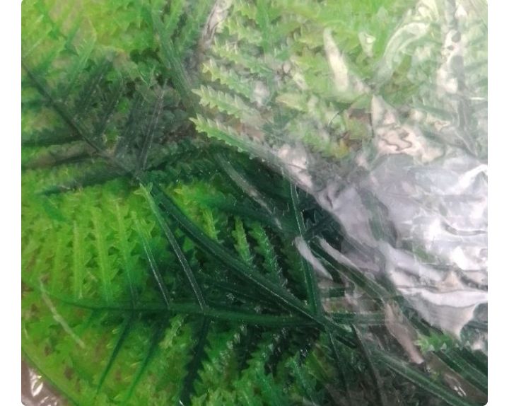 5pcs 25 helai Daun Asparagus pakis artificial