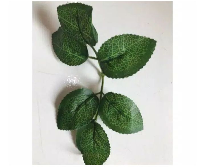 6 helai daun mawar - Daun 6 helai